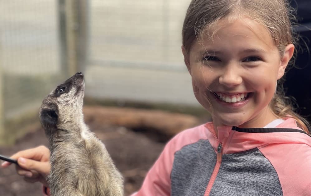 Top things to do in Wexford with kids - visit Wells House & Gardens