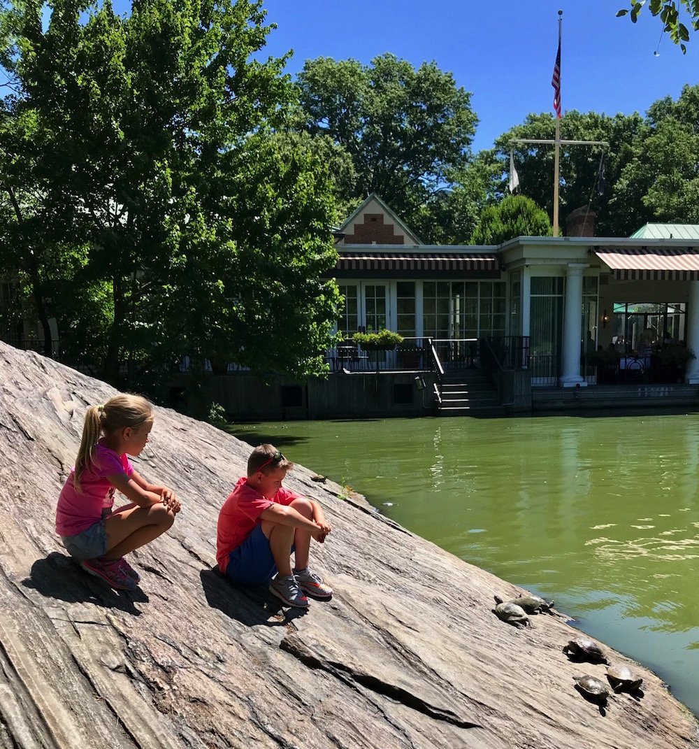 Visit Central Park in New York with kids