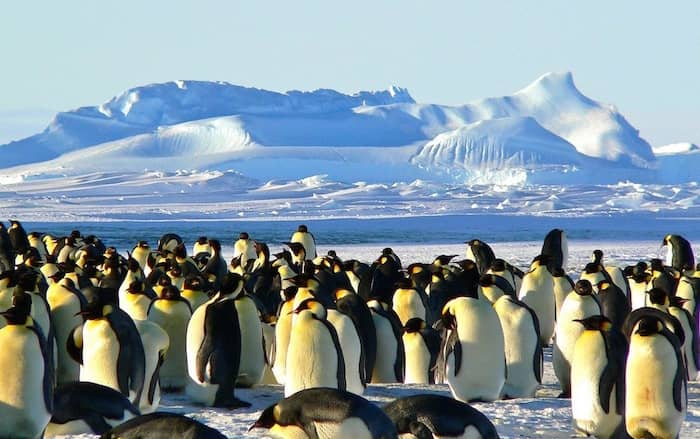 antarctica is one of the top bucket holidays