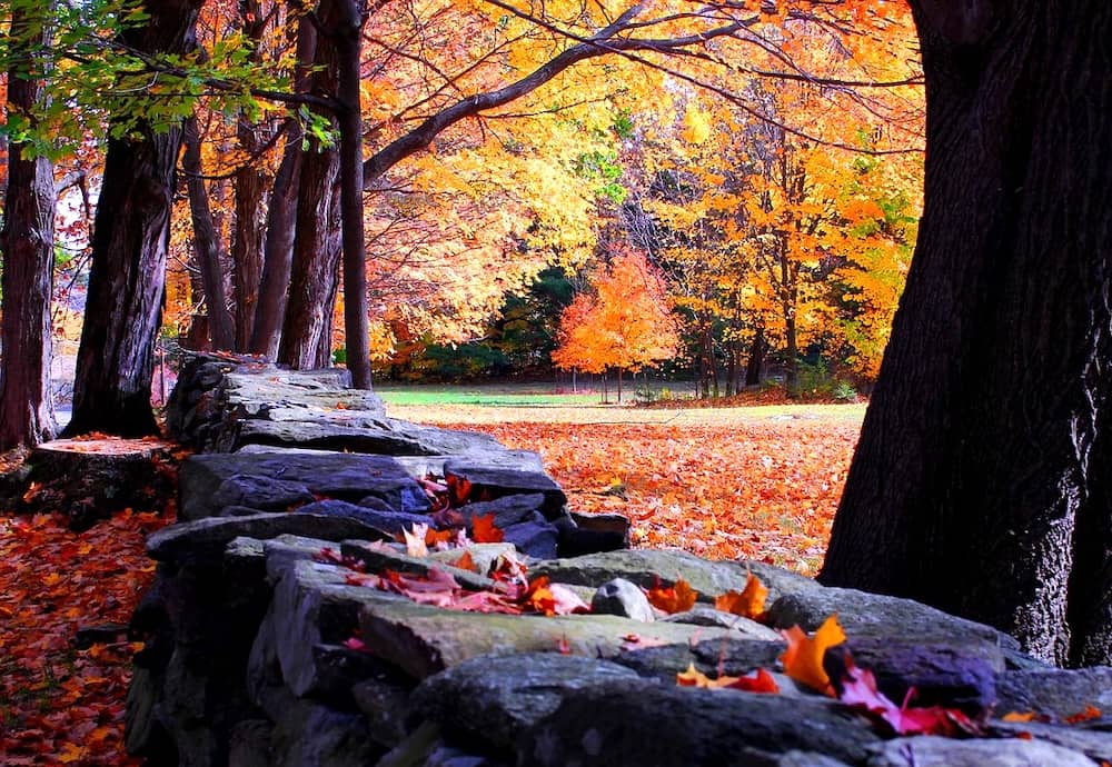 New England in the Fall