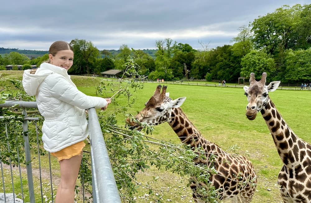 Top things to do in Cork with kids