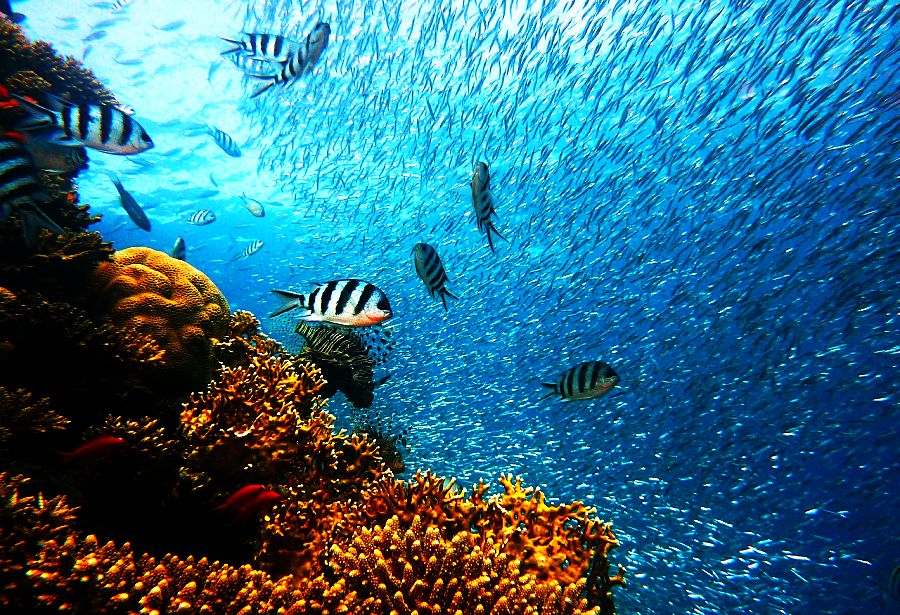 Sharm el Sheikh, Egypt