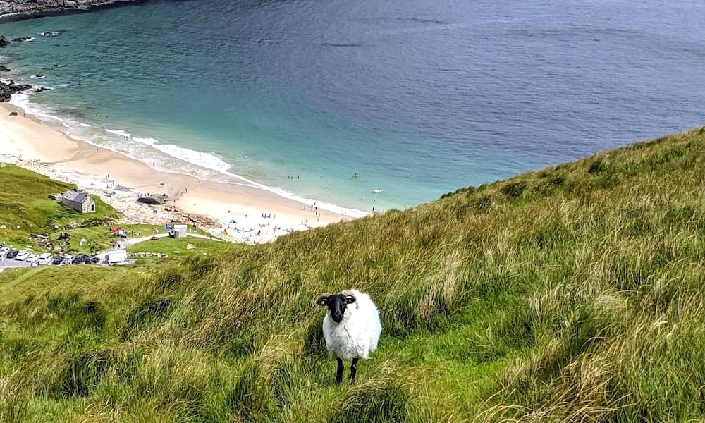 Things you should know if visiting Ireland