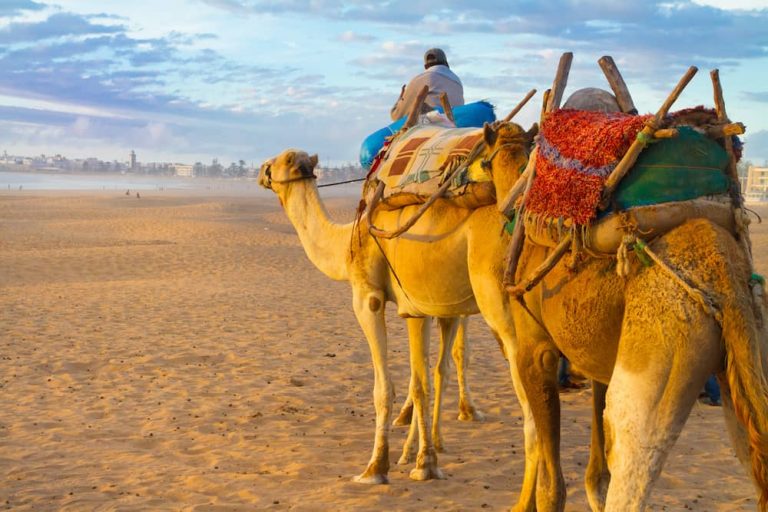 Winter Weekend Breaks in Marrakesh, Flights & Top Rated Accommodation from €229pp!