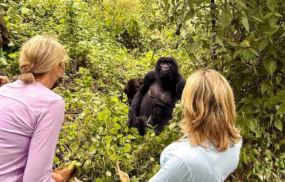 Gorilla trekking in Rwanda