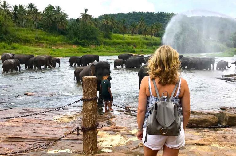Top 10 Things to do in Sri Lanka