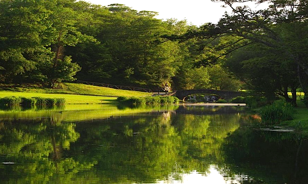 review of druids glen hotel